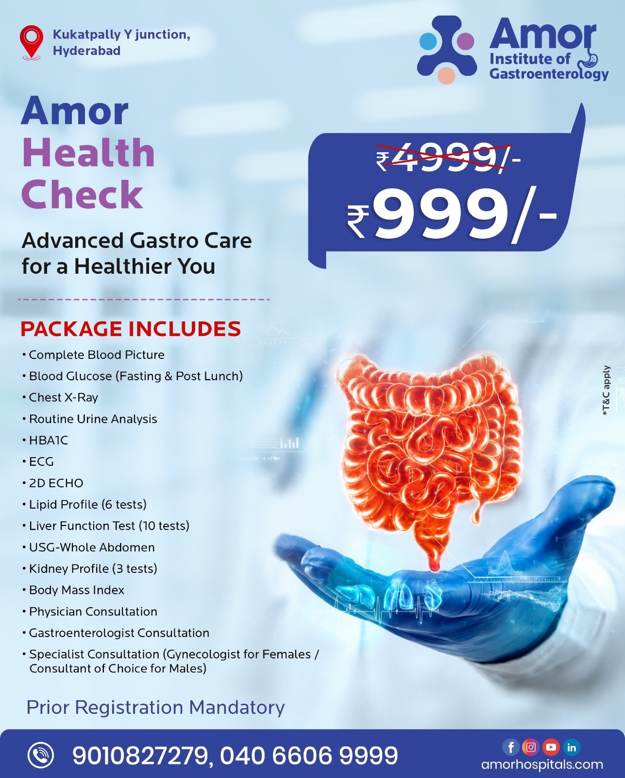 Amor Health Check